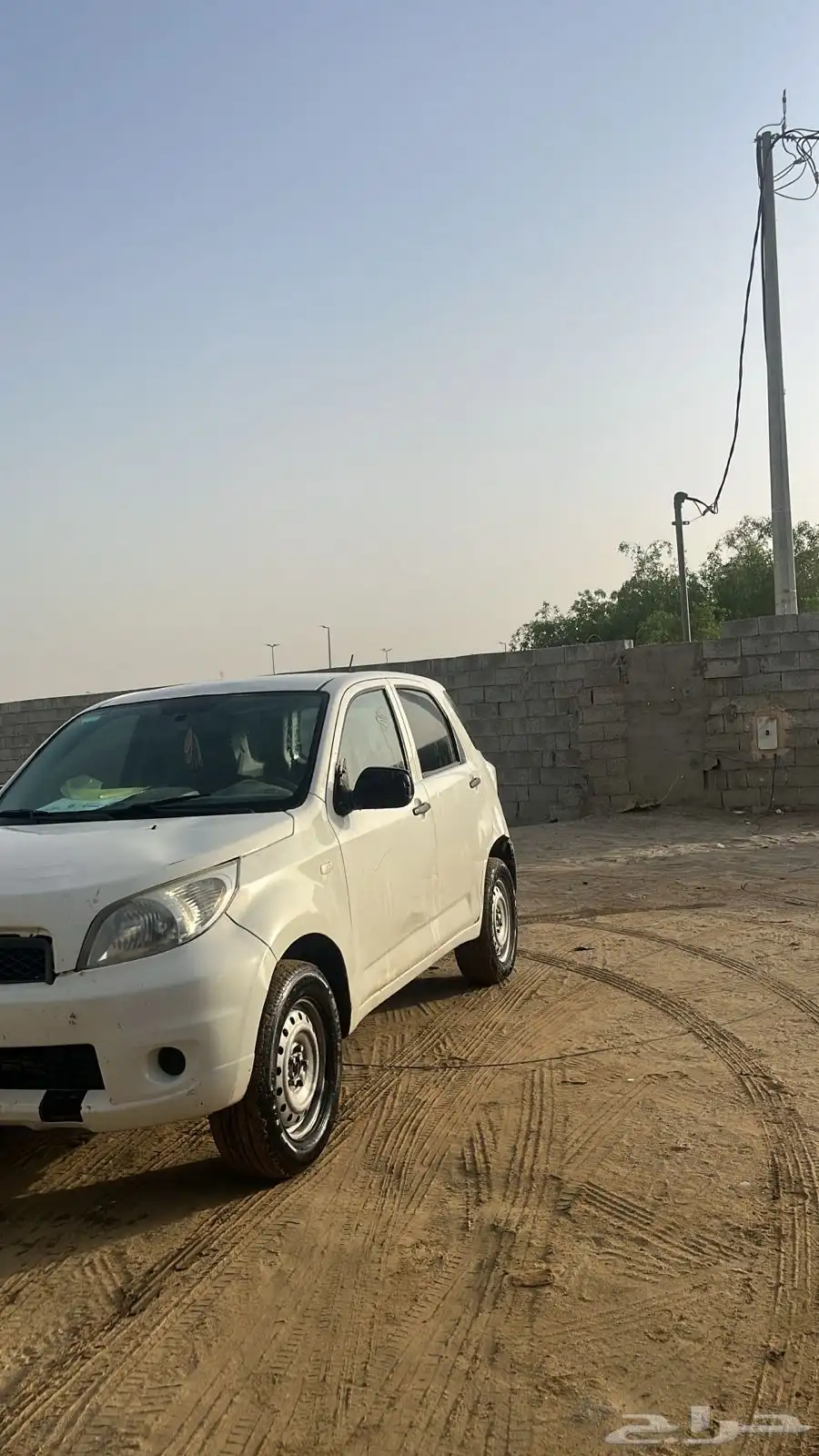 دايهاستو 6