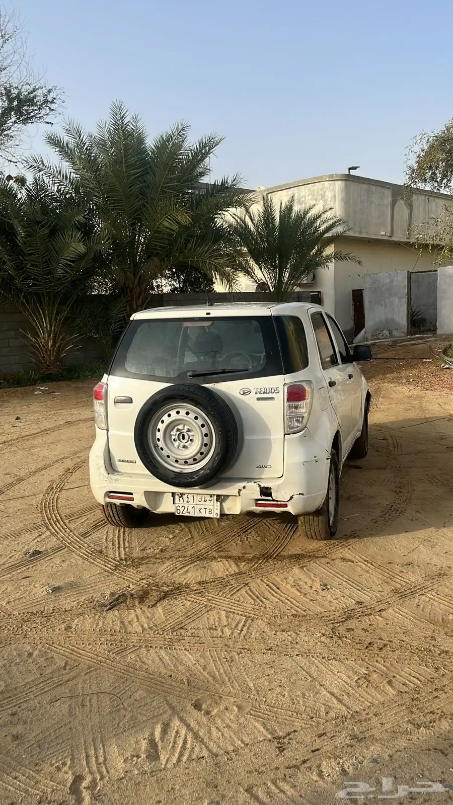 دايهاستو 5