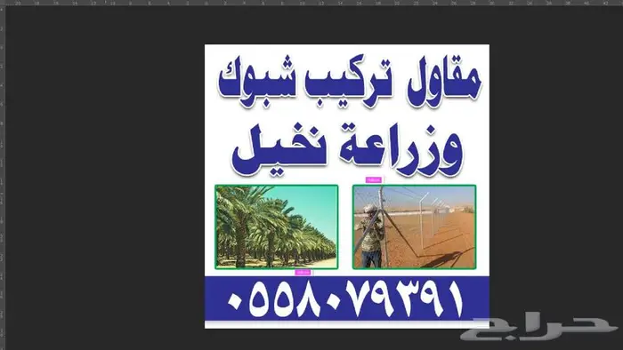 مقاول شبوك تركيب شبوك ونخيل 4