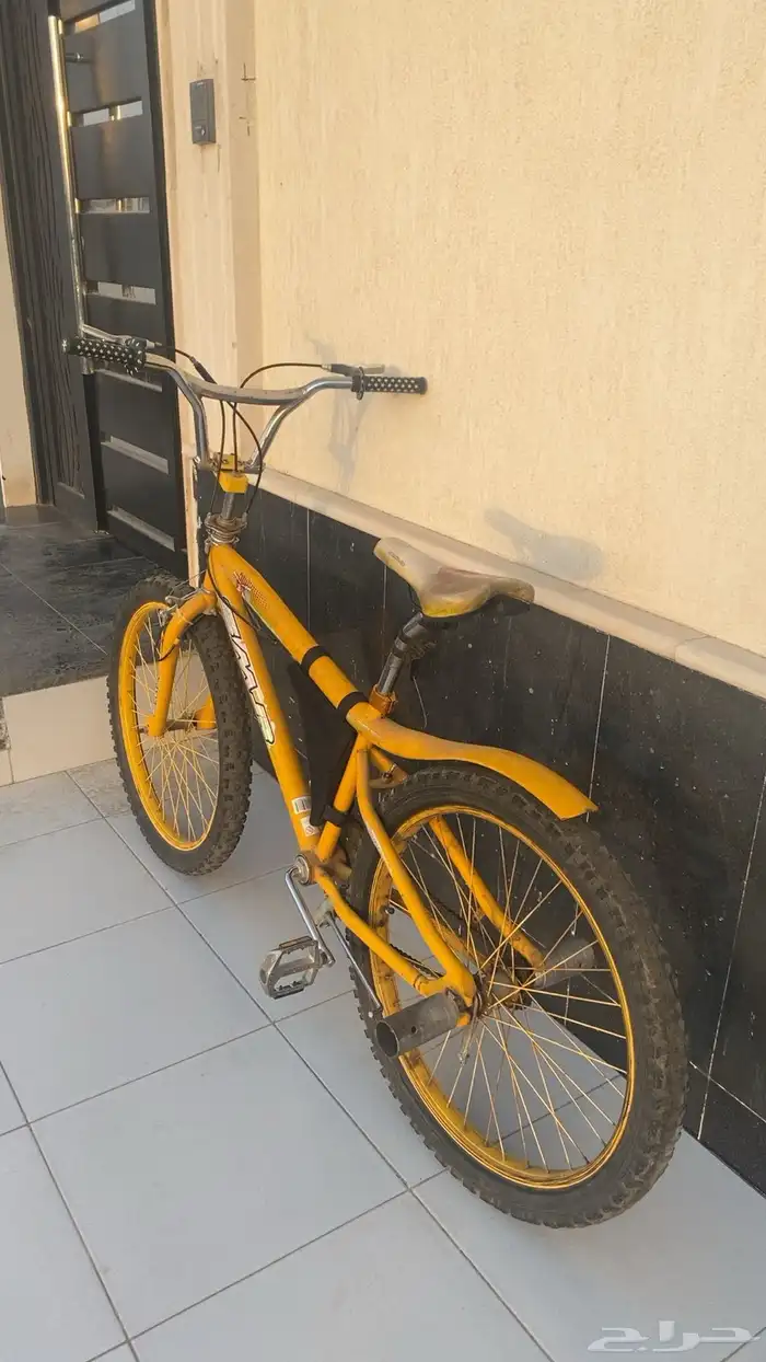 سلام عليكم كوبرا مقاس 24 جديد ما فيه. شي 1