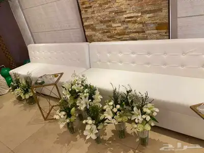 تأجير كنب جلد ومخمل 30