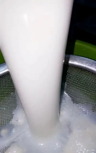 حوامض بقر اصلي ولبن مجاني 1