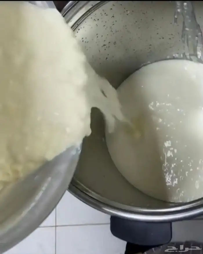 سمن بقر بلدي صافي. حياكم الله جميع. يوجد زبده بقر صافي 6