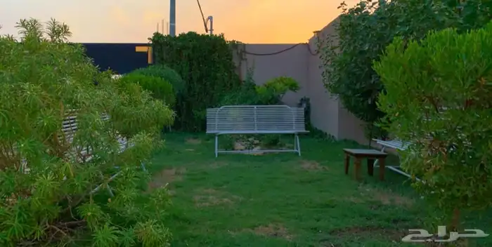 استراحة للإيجار 8