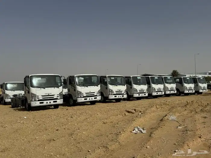 ايسوزو ديانا 2025 22