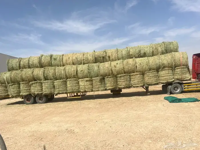 للبيع لفات رودس تماتيك شد طيب وزنه من 200 كيلو إلى 240 0