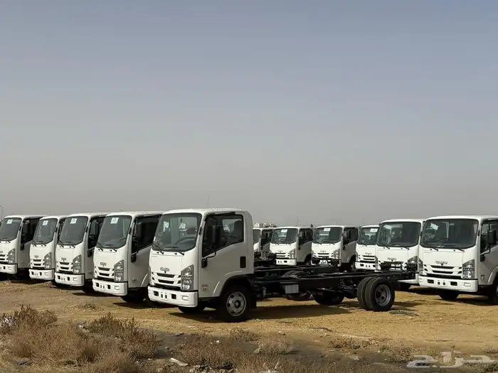 ايسوزو ديانا 2025 23