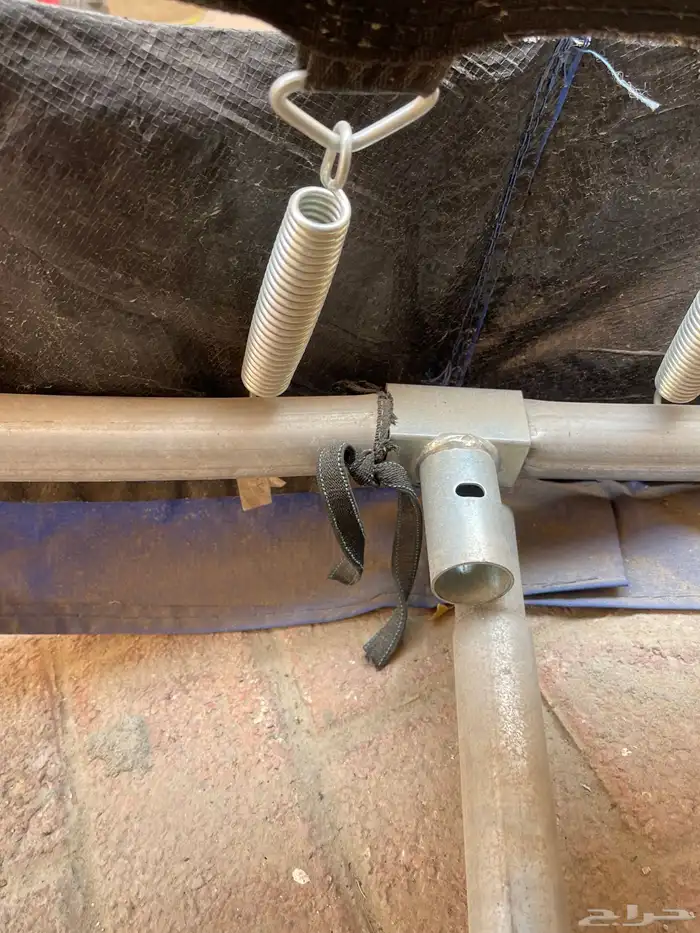 نطيطة للبيع 1