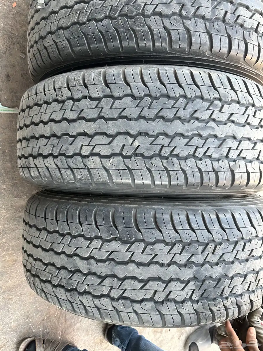 جنوط نيسان فتك سوبر سفاري مع كفرات صيني تاريخ 21اسبوع جديده 6