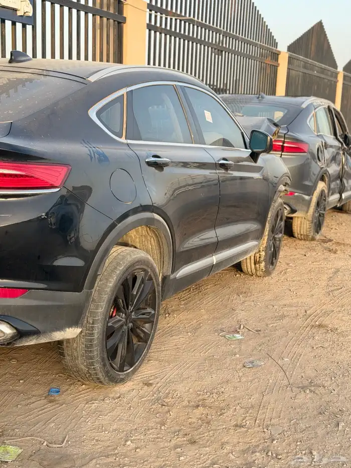 قطع جيلي توجيلا 2024-2025 3