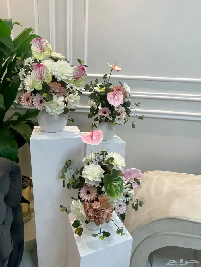 كوش كوش_عقد_قران 4