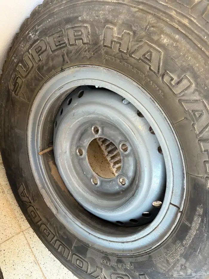 جنوط شنبر 1