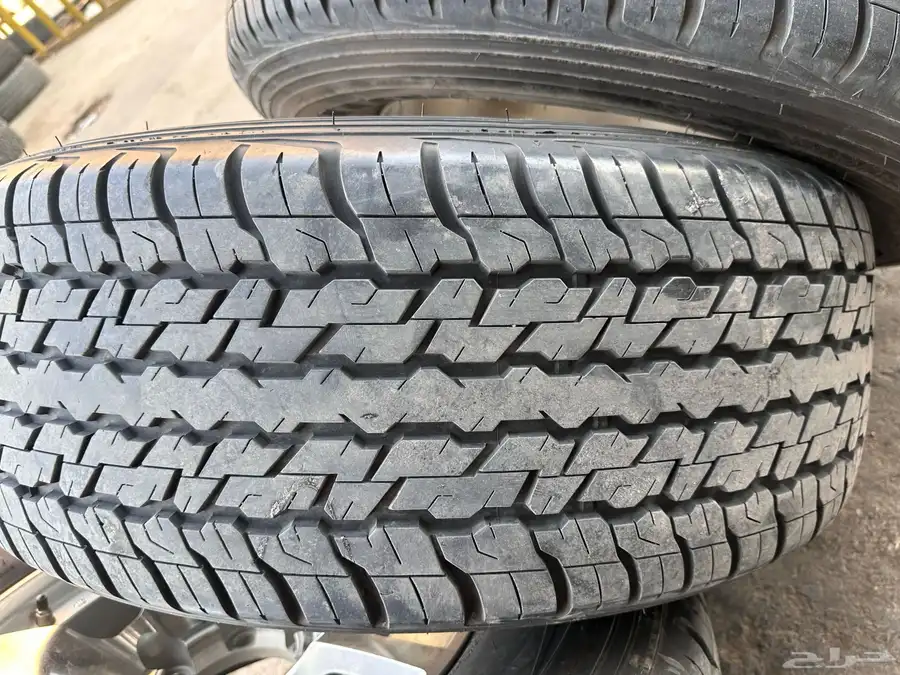جنوط نيسان فتك سوبر سفاري مع كفرات صيني تاريخ 21اسبوع جديده 1