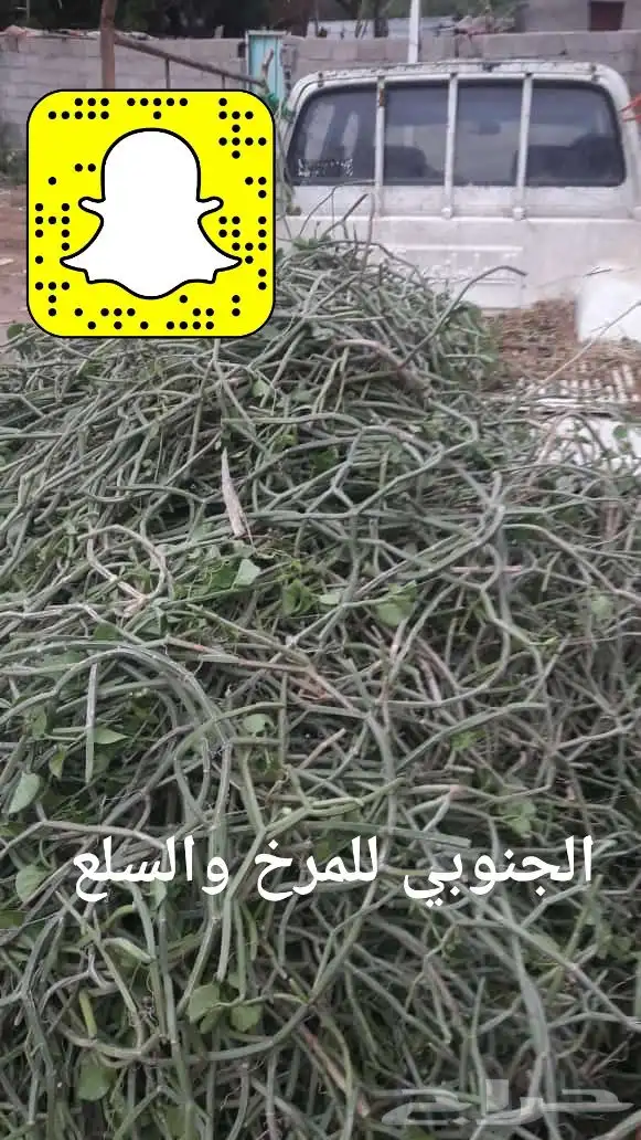مرخ وسلع أخضر وطازج. نوصل لجميع مدن المملكه 3