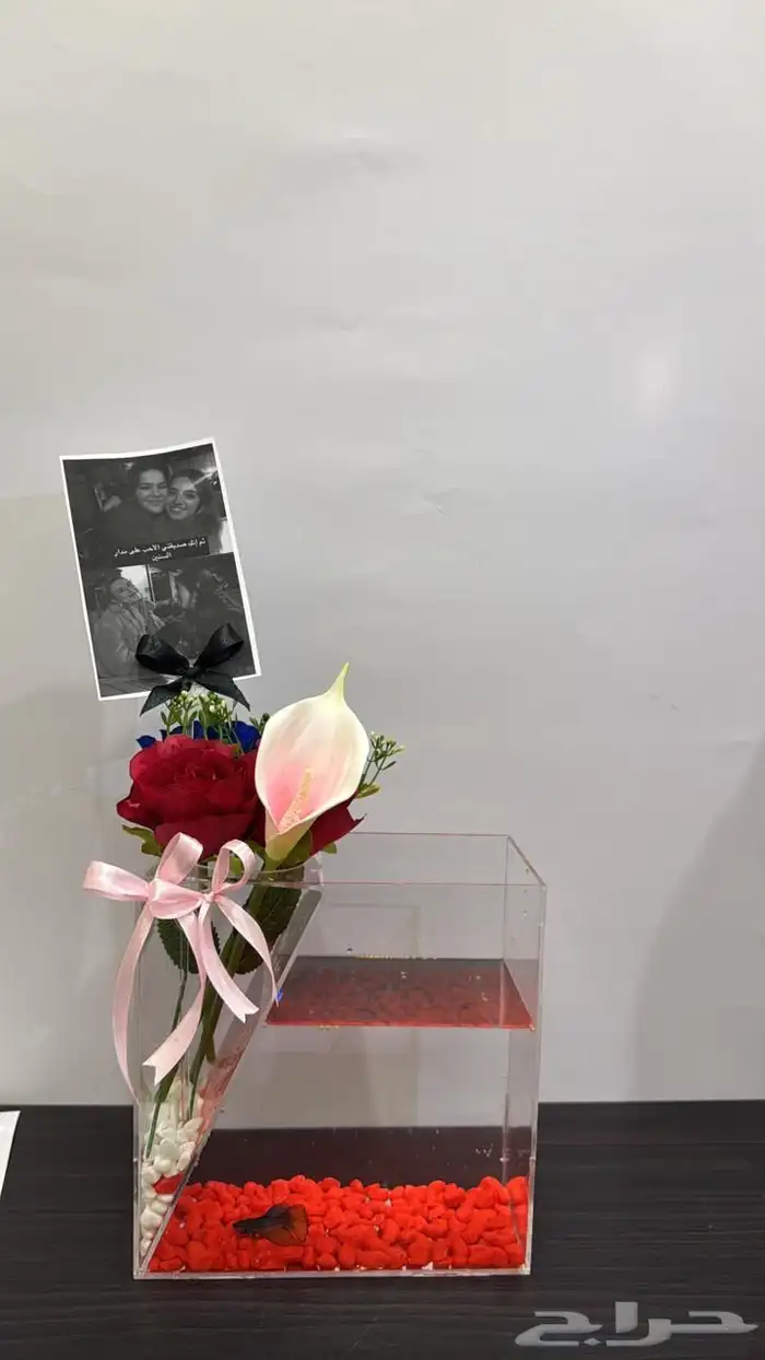 بوكسات سمك او احواض زينه 4