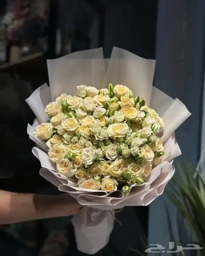 هديه 5