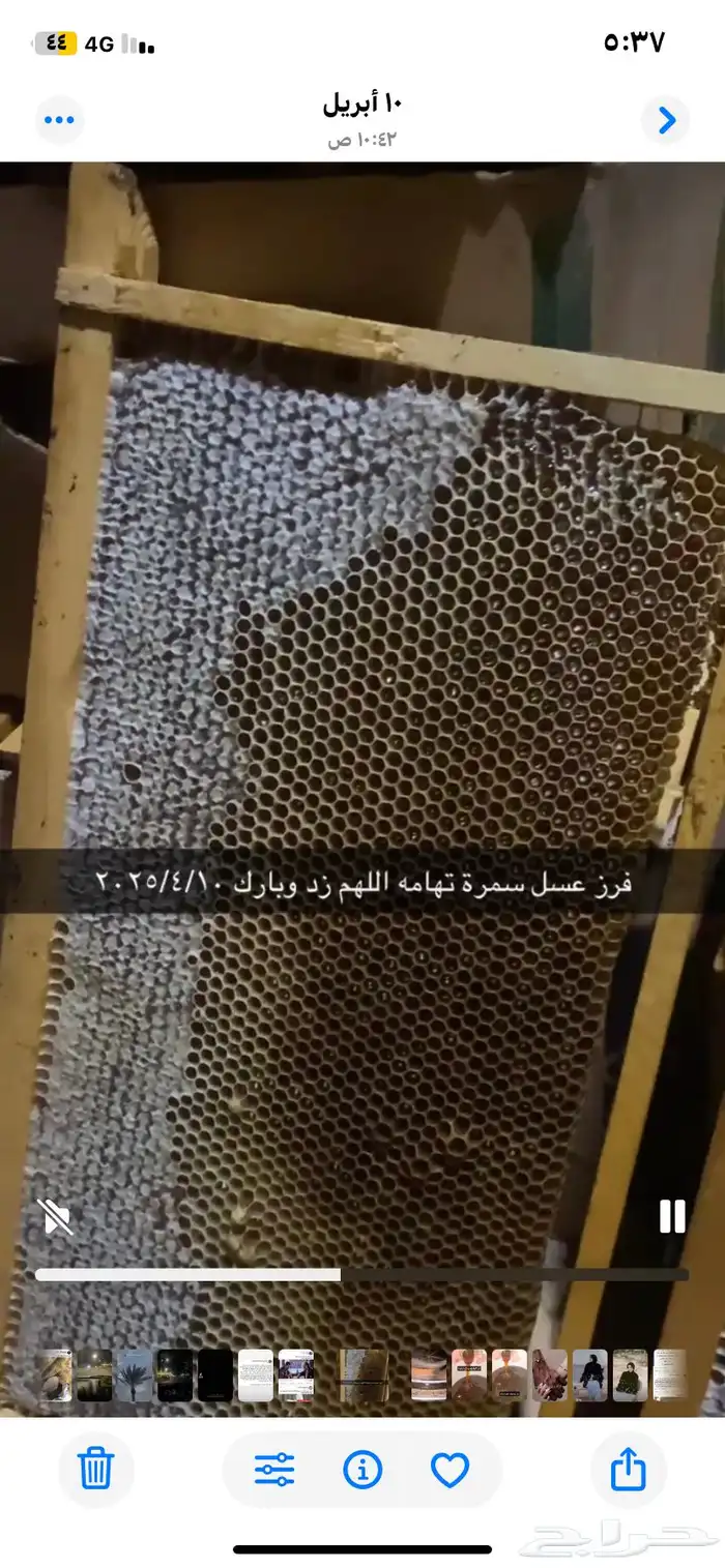 عسل سمرة تهامه( ثقل ريحه طعم) 3