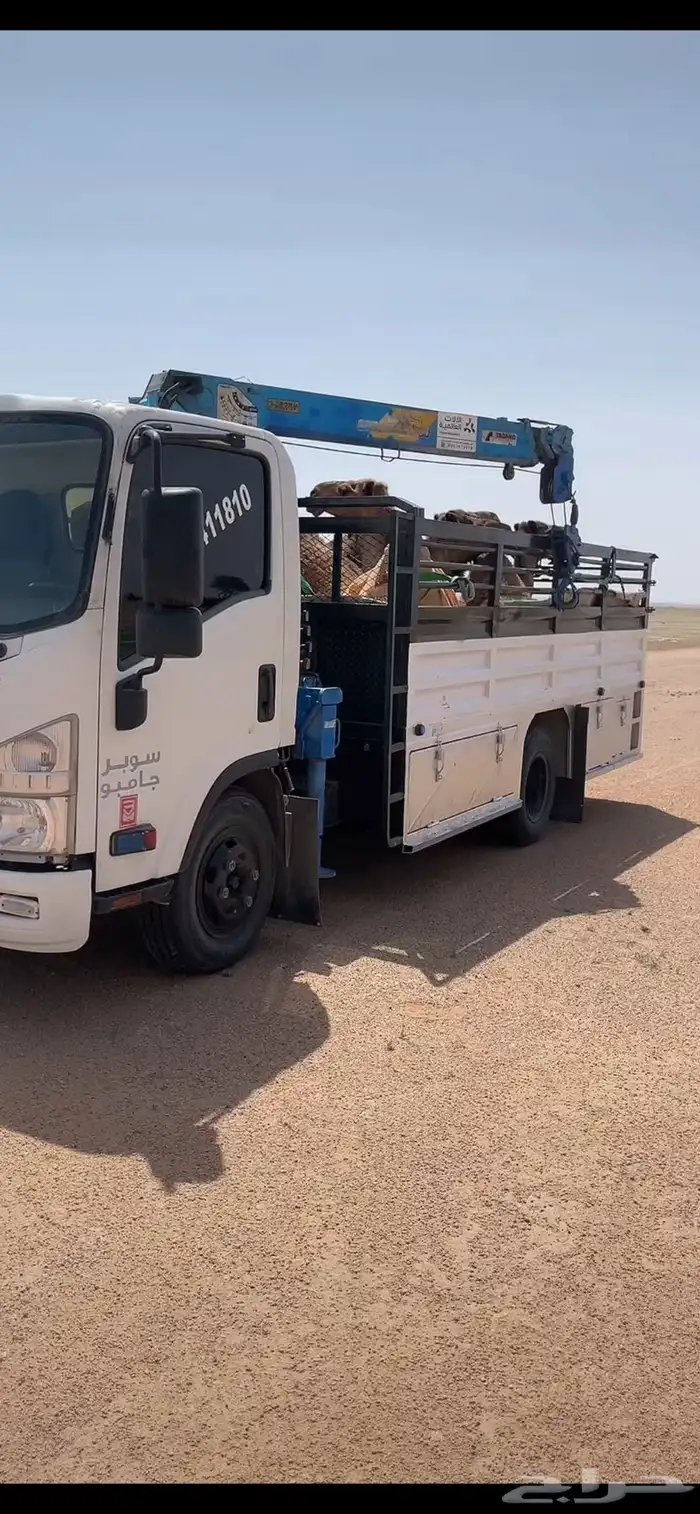 دينا ونش مشاوير داخل الرياض وخارجه 0