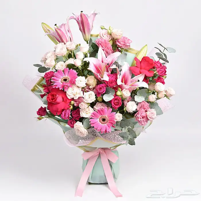 هديه 13