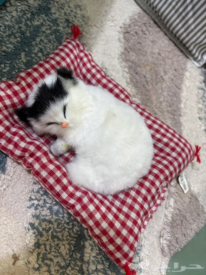 العاب اطفال 6