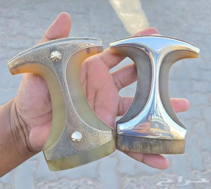 راس زراف للبيع 0