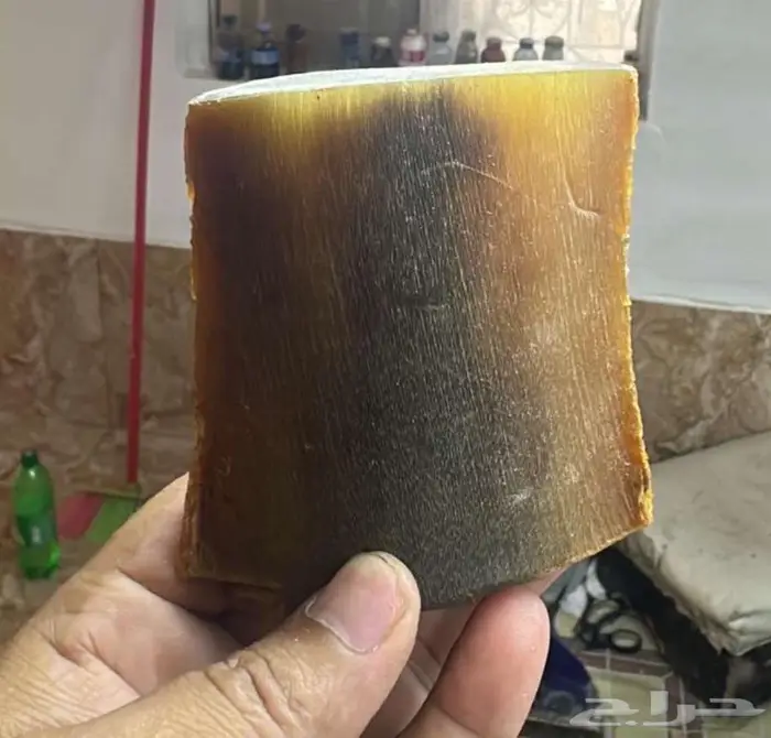 راس زراف للبيع 3