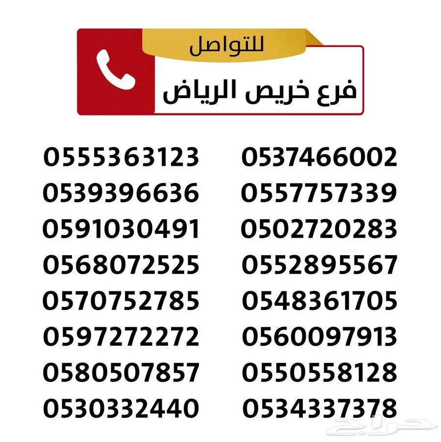 فوتون تولاند غمارتين ديزل دبل موديل 2022 12