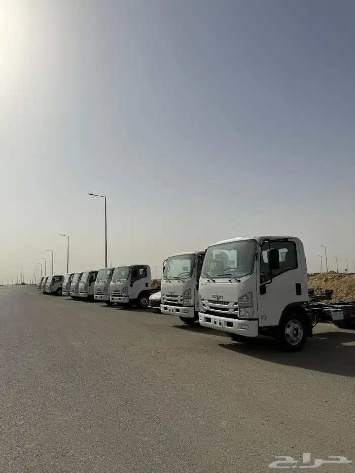ايسوزو ديانا 2025 24