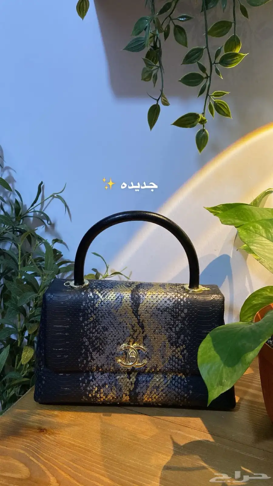 شنطة 0