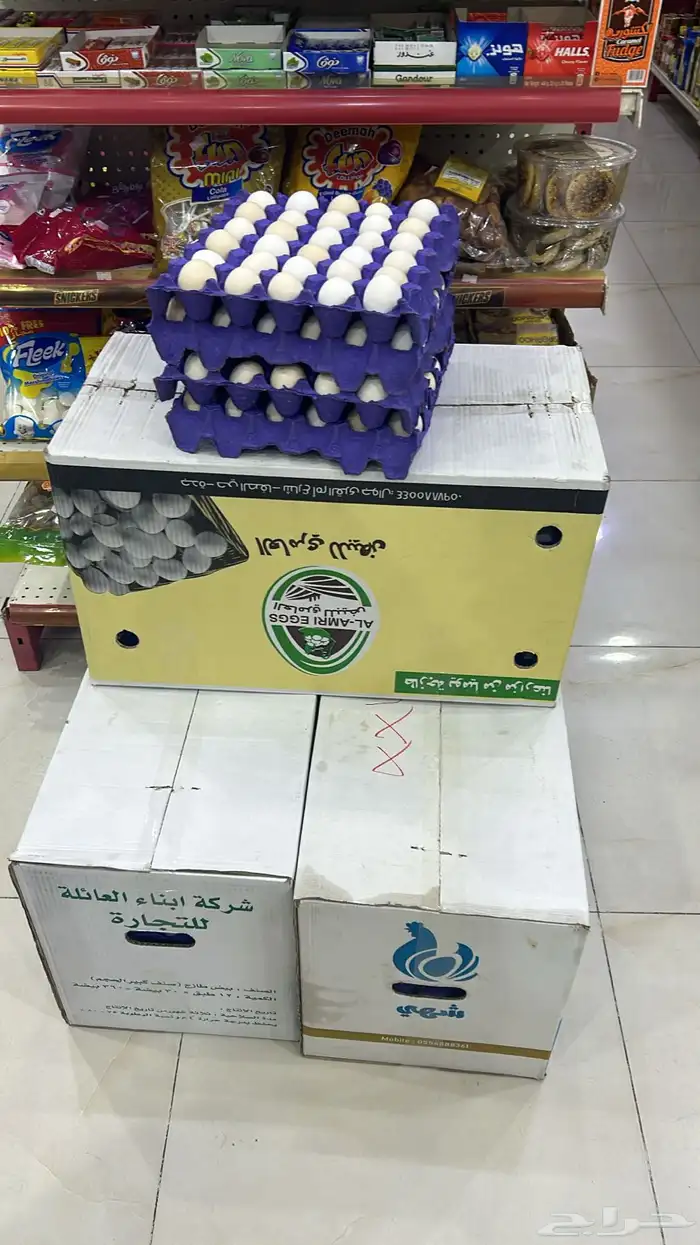 بيض بلدي مائده 2