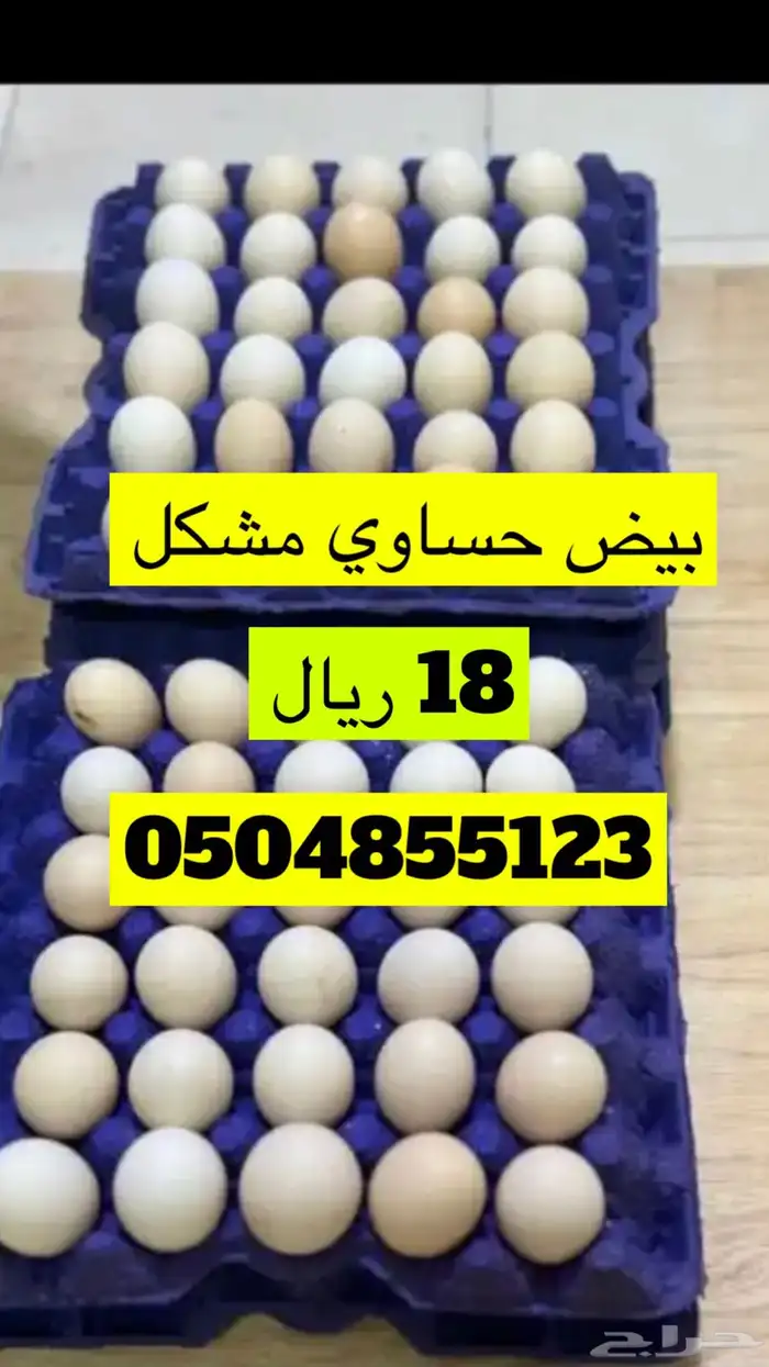 بيض حساوي مخصب 0