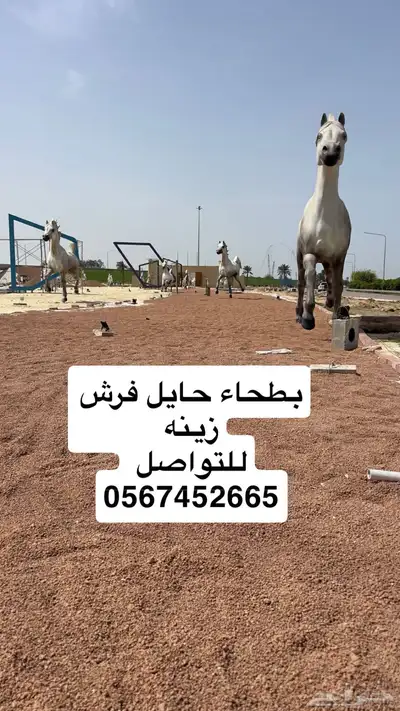 بطحاء حايل زينه فرش ممارات 6