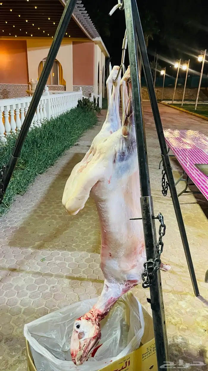 معلم مشويات خارجيه مشاوي متنقل 5