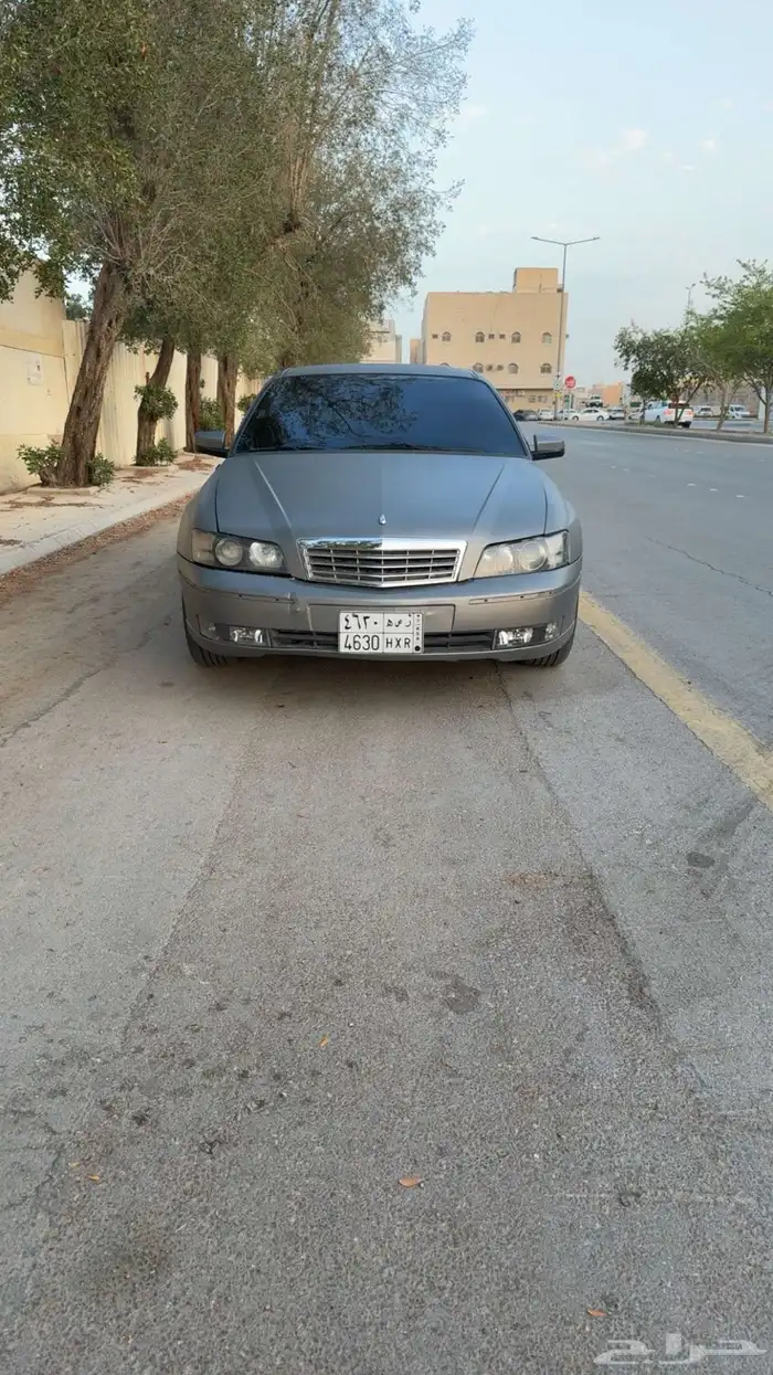 تم البيع الله يبارك للمشتري 10
