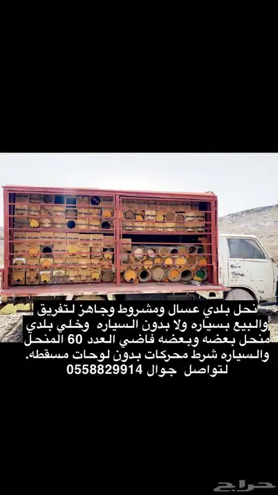 نحل للبيع 0