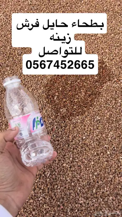 بطحاء حايل زينه فرش ممارات 8