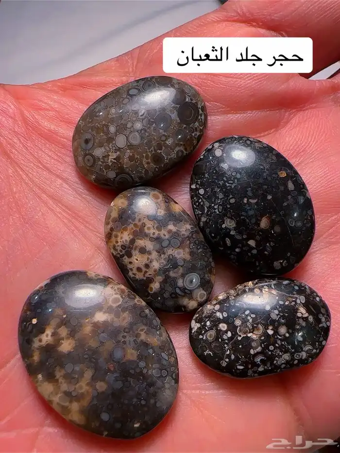خواتم عقيق يمنيه 37