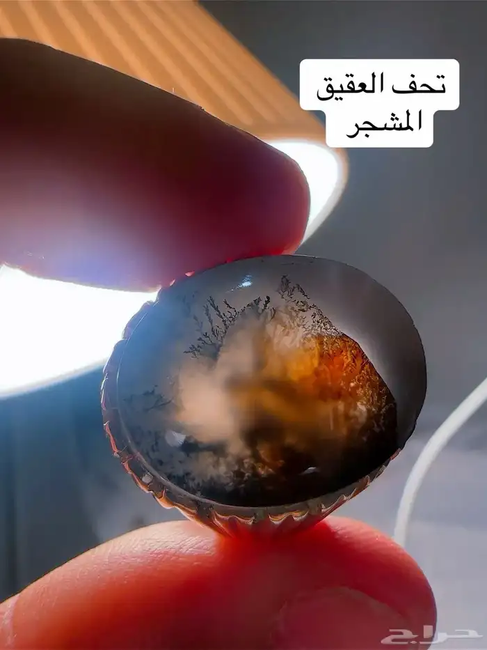 خواتم عقيق يمنيه 61