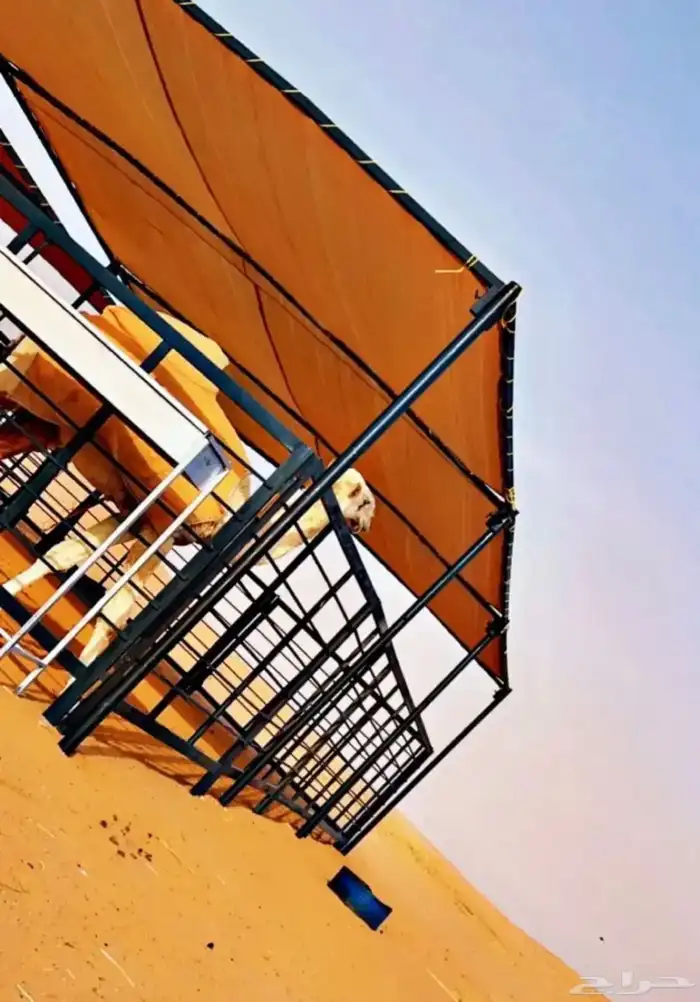 مظلات أبل 1