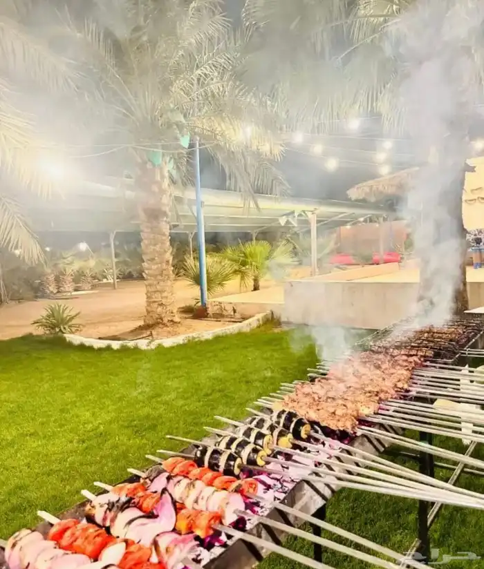 مشويات خارجيه في افضل اسعار و خدمة مميزة 15