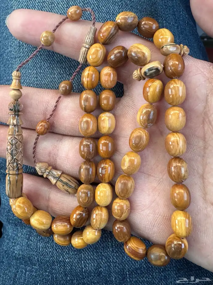 سبحة ناب الماموث المنقرض (جديدة) 0