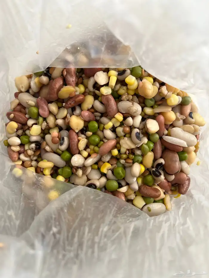 منقوع طيور 0