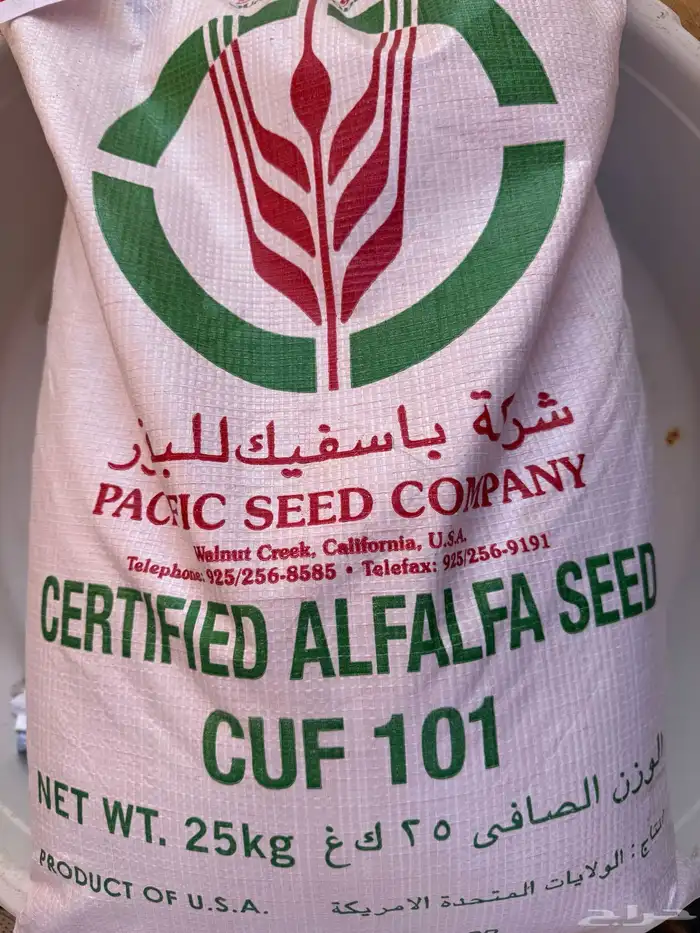 بذور برسيم امريكي البيع شامل الشحن 0