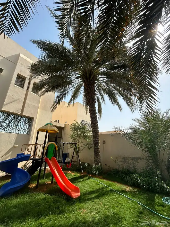 نخله رشوديه 1