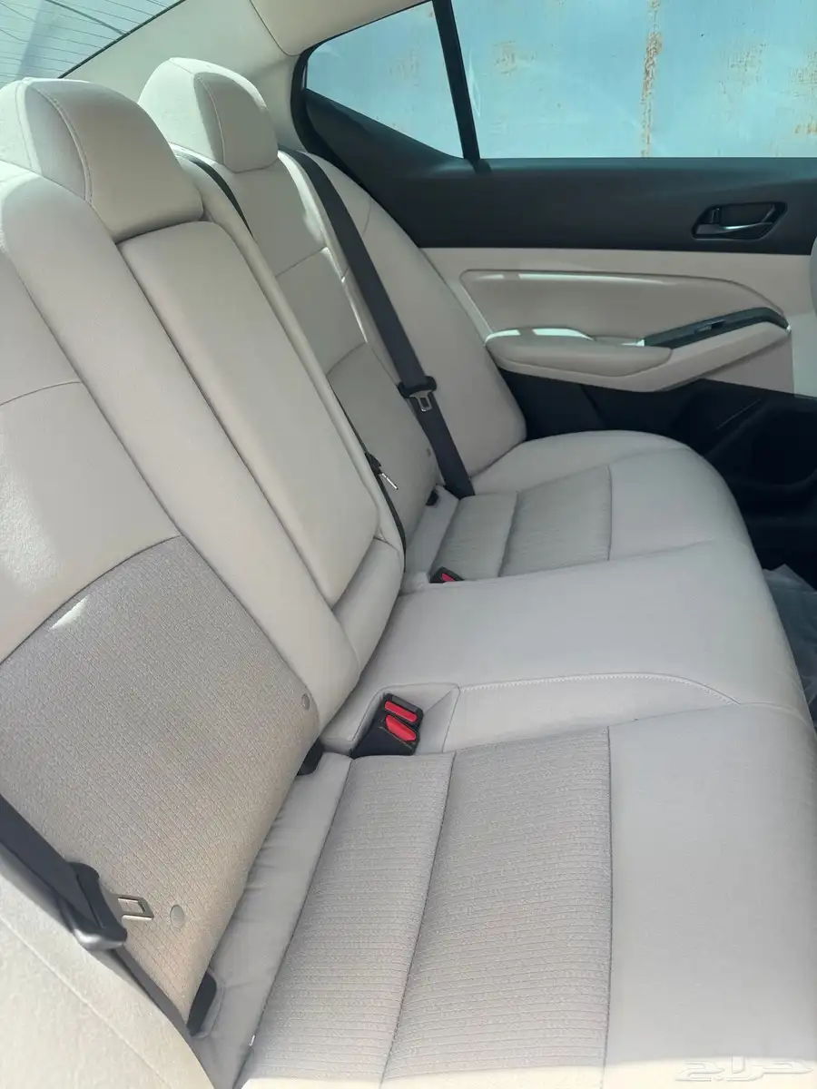 التيما 2023 S 12