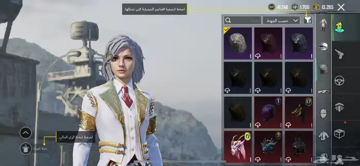 ببجي 17