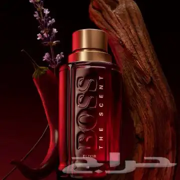 عطور اصلية جميع الماركات بسعر الجمله 15