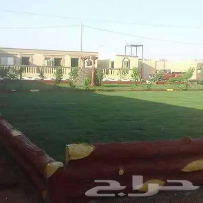 ثيل طبيعي ياباني انتورو فرنسي c2000ثيل الظل تجهيزتركيب ملاعب 6