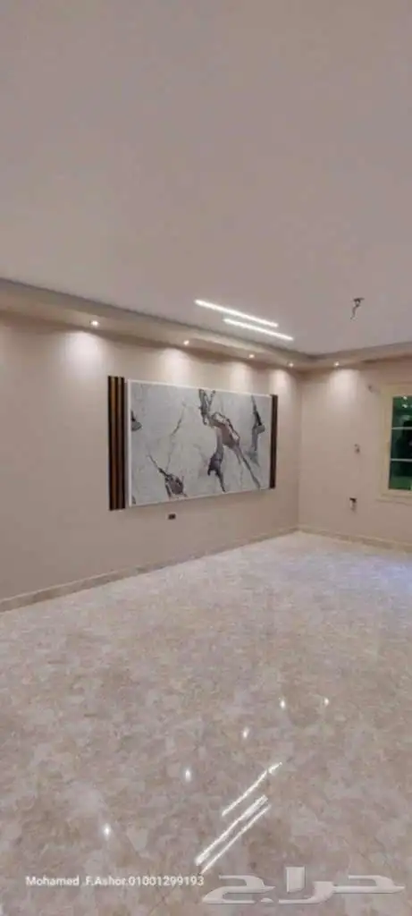معلم ومقاول دهانت مصري 6