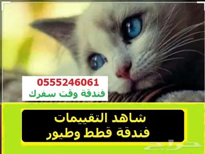 فندقة قطط وطيور 6061 24 0555 وقت اجازتكم - حي المروج 0